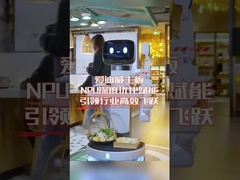 placa principal con NPU